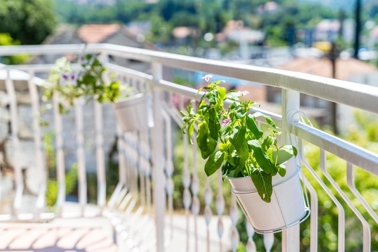 Apartment House Of Artichoke With Amazing Sea View, Dubrovnik Quận Mokošica Ngoại thất bức ảnh