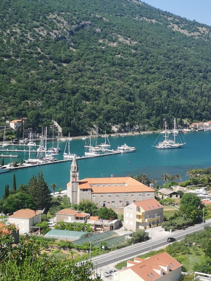 Apartment House Of Artichoke With Amazing Sea View, Dubrovnik Quận Mokošica Ngoại thất bức ảnh